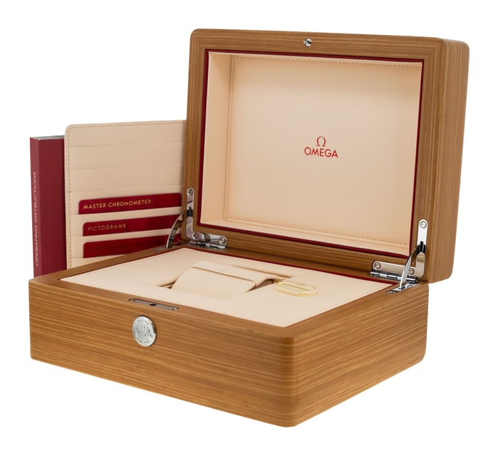 Omega Aqua Terra 150m Gents 220.10.38.20.01.004 Image 5